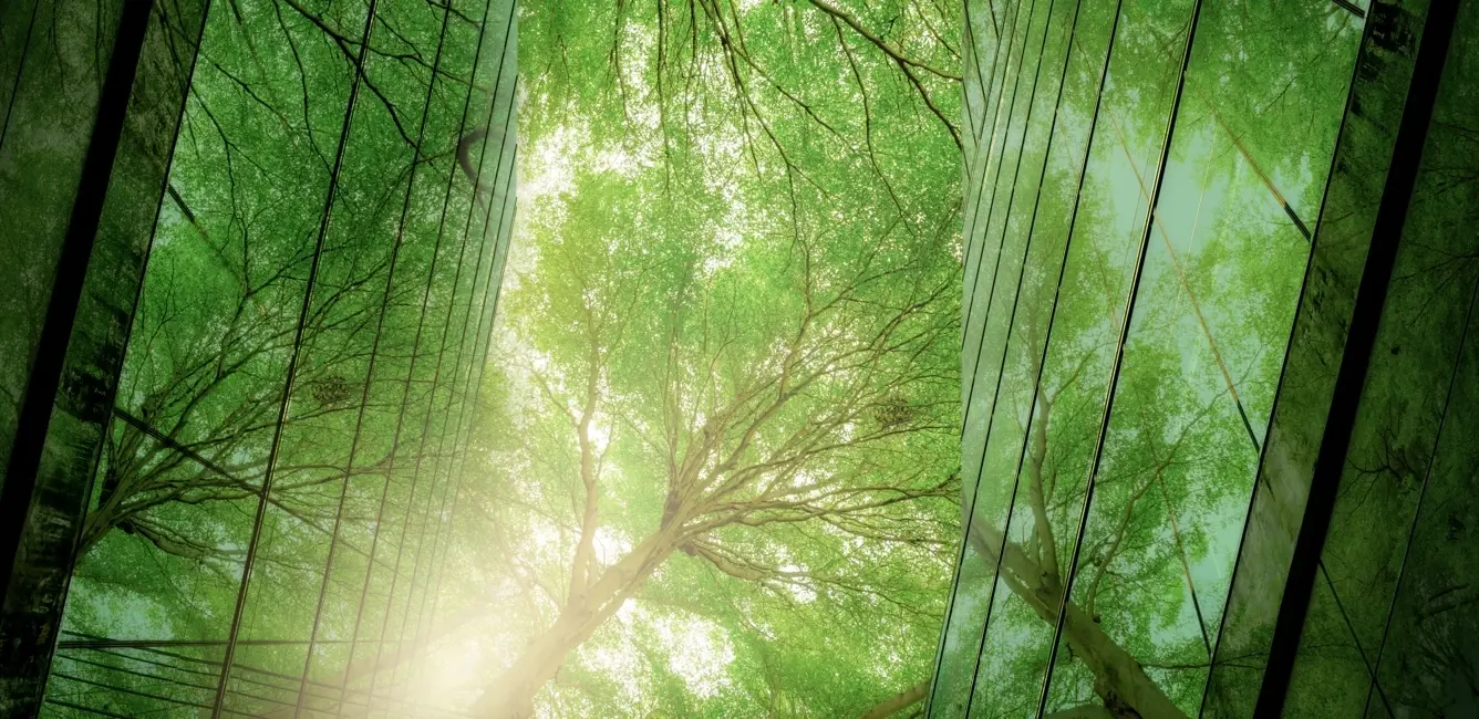 Shutterstock 2227403169 (1)