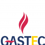 The Egyptian International Gas Technology Min